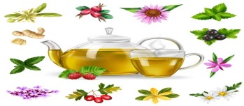 Bienfaits d’infusions : vos alternatives saines au thé classique